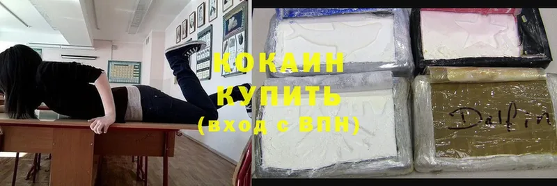 ссылка на мегу рабочий сайт  Камызяк  Cocaine FishScale 